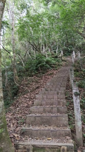 20251004 馬那邦山 - 珠湖 登山口2904848