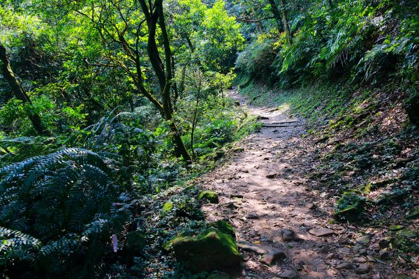 猴山岳。二格山。小獅山連走616101