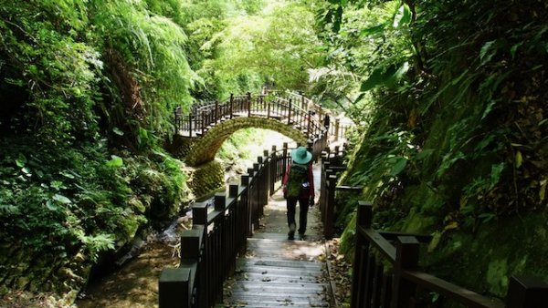 老鷹溪步道+裡埔瀑布1046942