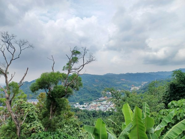 【台中北屯】南觀音山步道2933206