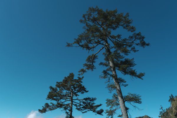 【玉山】主峰北峰二日，臺灣第一高峰雪季最美角度1881202