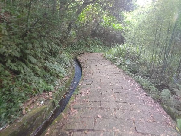 1130707青山瀑布步道3098009