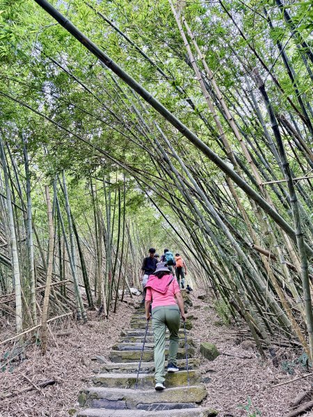 二尖.大尖山悠遊--好友再聚的茶園餘韻   2026.01.182985475