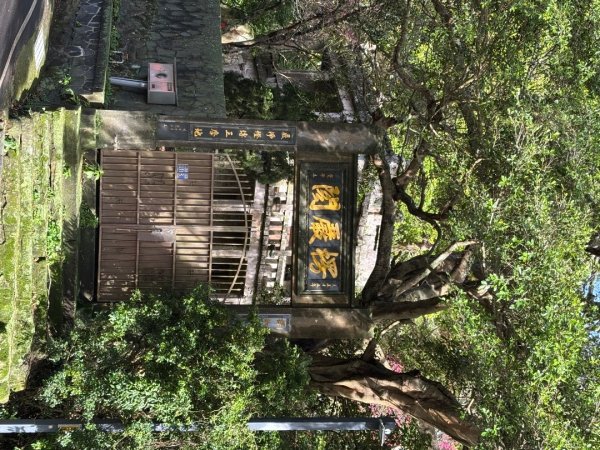 觀音山小木馬探路2703449