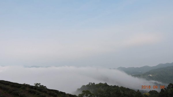 二格公園日出&石碇雲海國小雲海601738