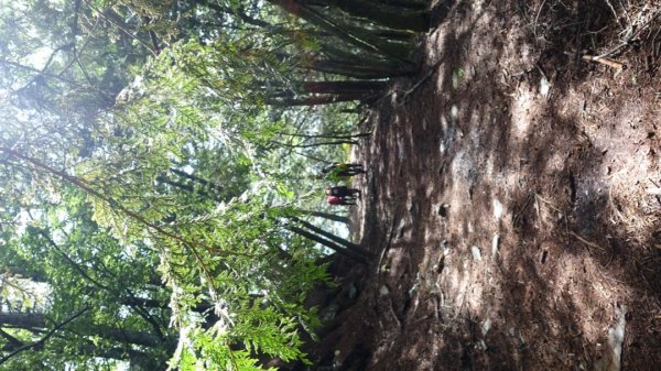 雙龍林道上巒安堂西巒大山1778745