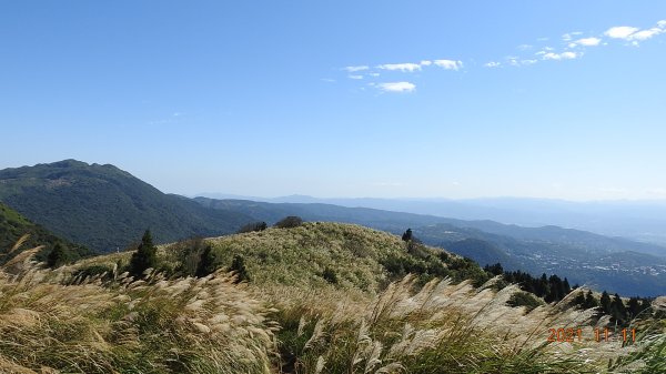 秋高氣爽芒花季再度陽明山天際線-七星山主東峰+大屯山主南西峰向天面天山O型+小觀音山主西南峰共10峰1511155