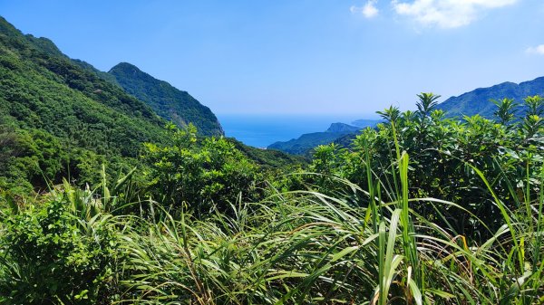 九份老街順走基隆山2581926