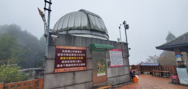 2023-11-25溪頭鳳凰山步道2361029