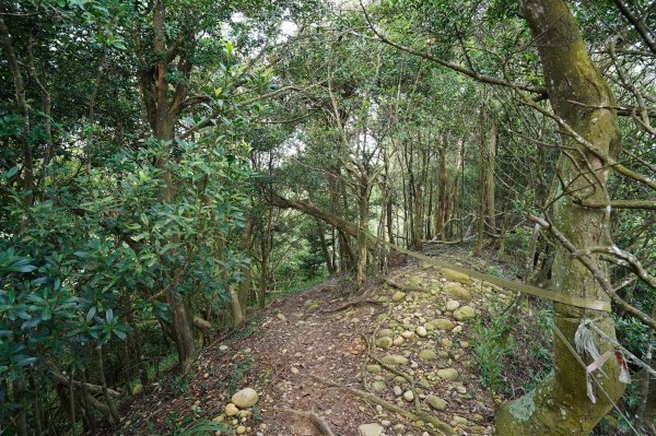 苗栗 長潭坑山、大坑尾山、三角山、雙峰山2598360