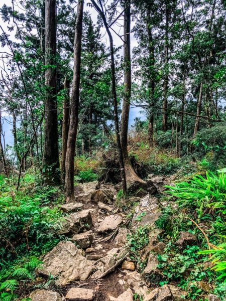 前進美麗夢幻的高山湖泊-十七歲少女之湖424270