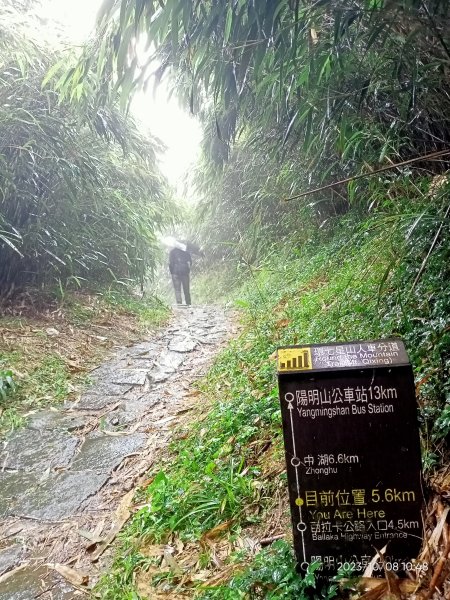百拉卡公路人車分道、環七星山人車分道百拉卡公路入口站至冷水坑段、大港墘公園【走遍陽明山、健康大穀東】2307534