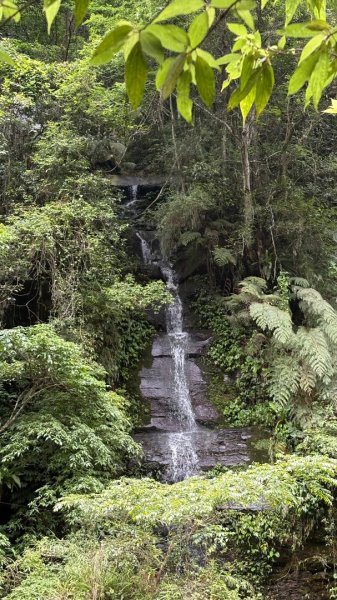 戲水（鴛鴦2786699