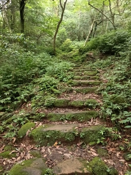基隆市荖寮坑古道+十分古道(暖東舊道)+頂子寮山(嶺頭土地公)P字走2821559