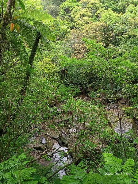 山青水明的桶後越嶺步道2139221