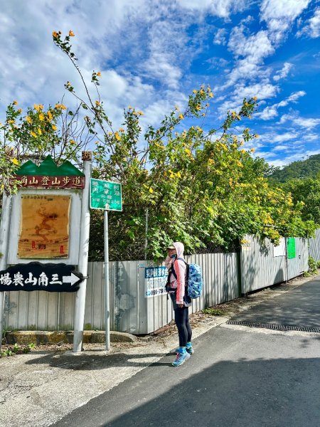 苗栗三義銅鑼三員縱走-三角山-員屯山2651727