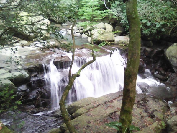 滿月圓國家森林遊樂區1205164