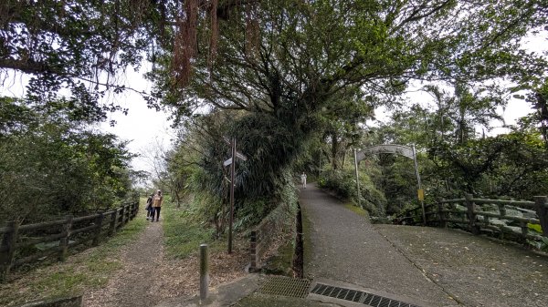 114.12.20劉銘傳隧道-獅球嶺北峰-獅球嶺東砲台山-獅球嶺池-獅球嶺砲台山之旅2966720