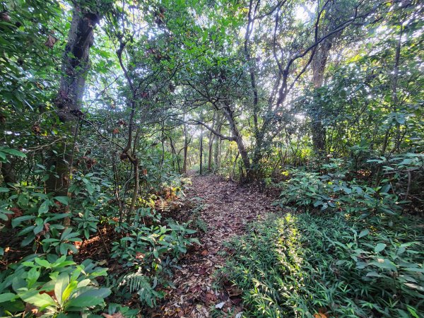 20250913秀才步道福人步道保甲古道2929848