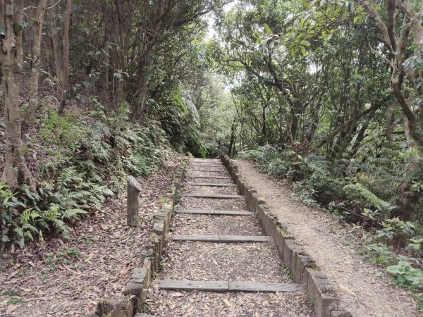 1140404大崙頭山親山步道3100032