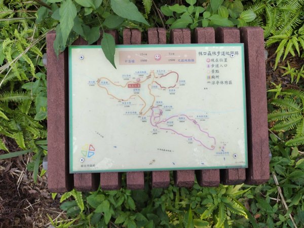 林口頂福巖森林步道2838121