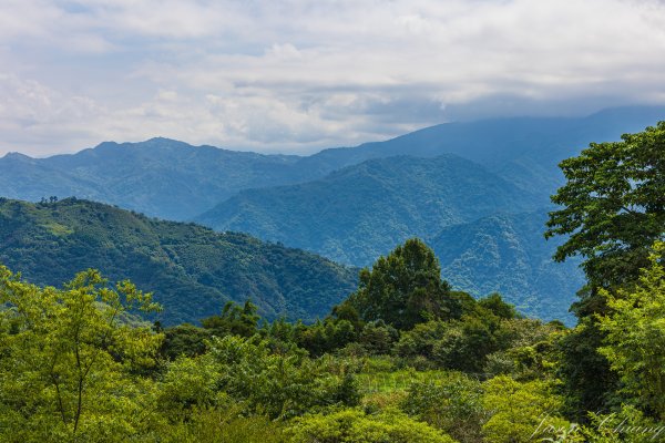 [新竹]鵝公髻山2555228