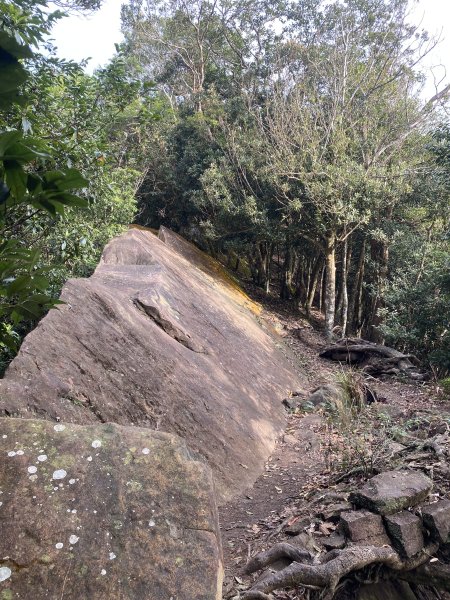 坐公車接駁的神仙縱走2707401