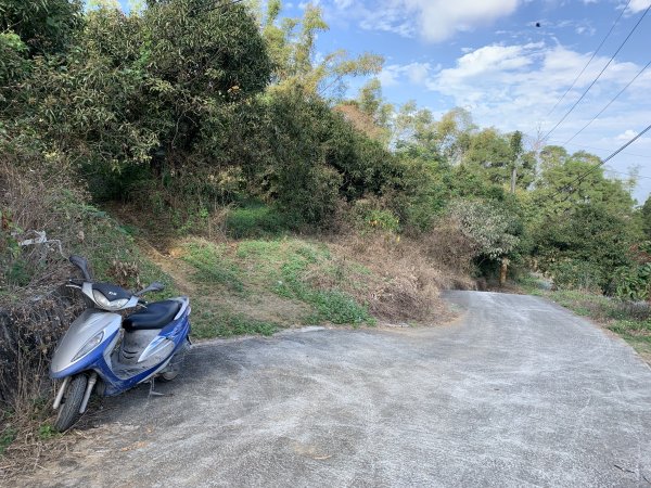 20250315屏東頭崙山-頭崙山西北峰2737218