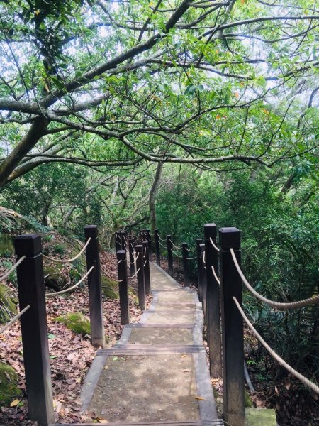 大坑6.7.10號565802