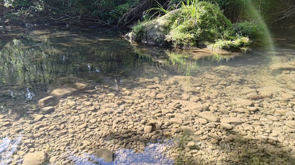 柴寮古道、中坑古道2814656