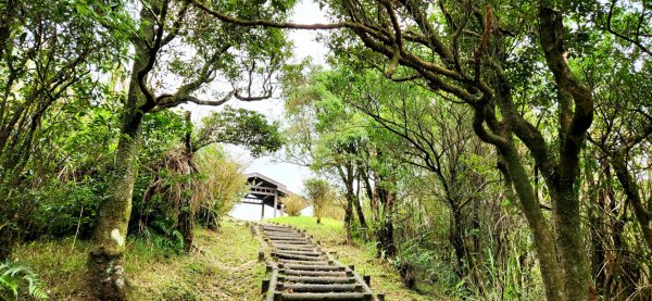 皇帝殿，坪林獅公髻尾山，文山指南宮千階步道（竹柏參道），十六分山，貓空尖，絹絲瀑布步道1971360