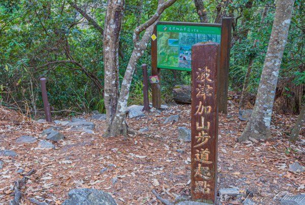 谷關七雄_波津加山2977615