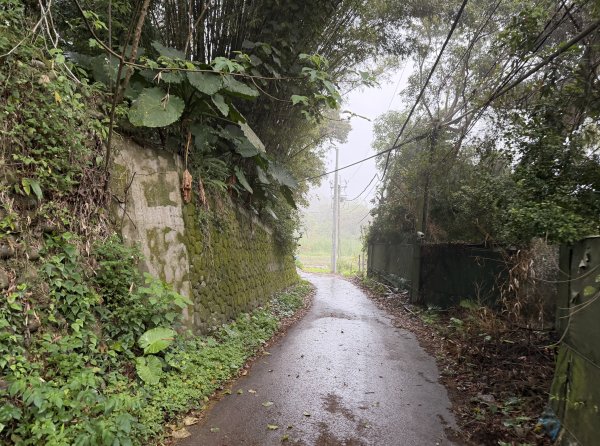 [樟之細路_第一大段RSA05] 2026_0329 石門大圳3027193