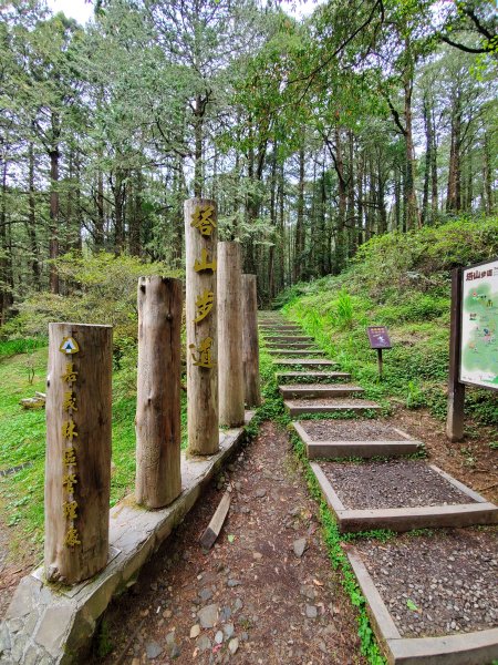 阿里山大塔山899530