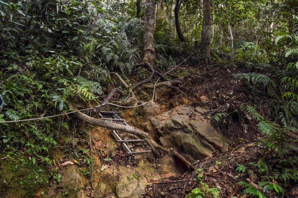 新竹石牛山步道｜小百岳2756535