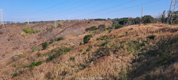 《台中》短暫暖陽｜龍井竹坑南寮步道O繞202601042976431