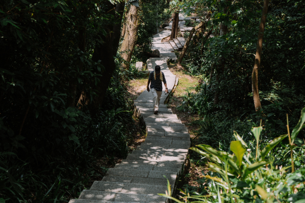 【步道介紹】迎世壯運輕健行｜城市中的登山迷宮，探索仙跡岩──台北南端篇