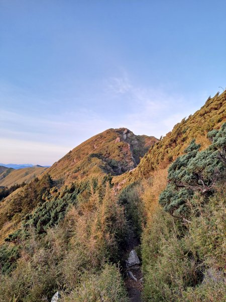 一日奇萊主山東峰(2022.10.26)1946988