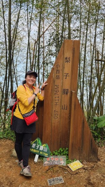 雲嘉五連峰2732225