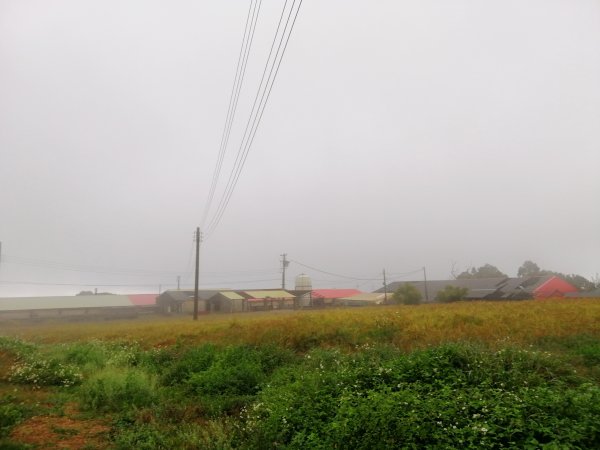 輕鬆好走但我們遇上微雨強風~小百岳鐵砧山918658