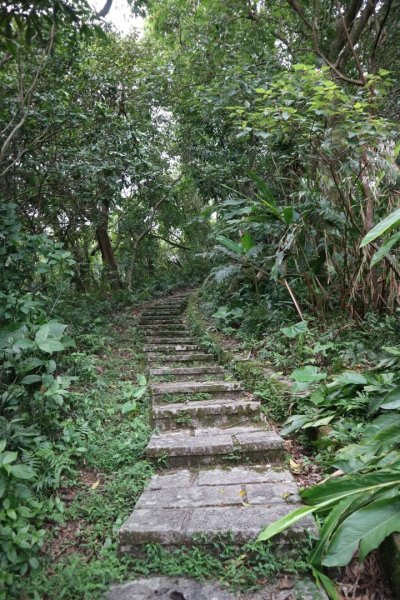 小百岳NO.14 深坑土庫岳。更寮古道 山豬窟尖，小南港山，南港山水綠生態公園2257293