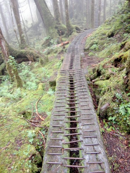 藏身於雲霧中的湖泊~翠峰湖467000