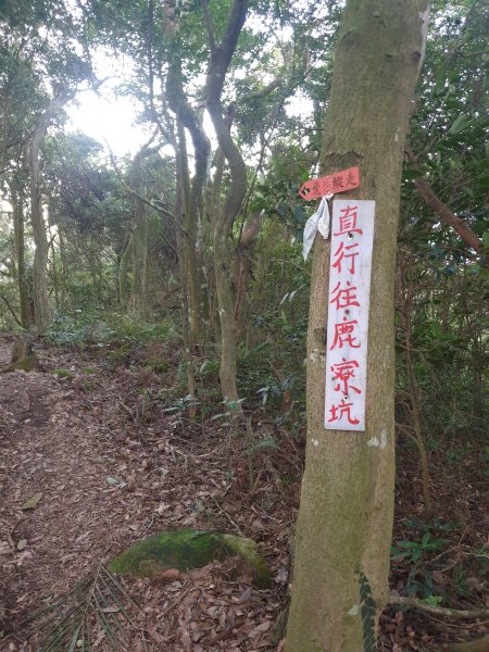 飛沙17連峰2701042