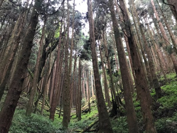 特富野古道903197