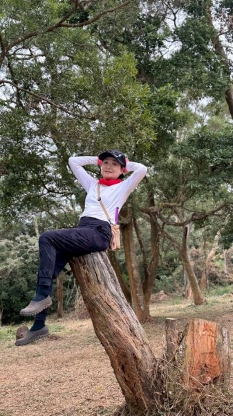 20260127三通嶺山.三義山(大桁茂山).慈濟山.大坪山大O走2990024