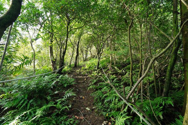 新北 瑞芳 粗坑口尖、碇內尖山、粗坑頭山、龍門山、滴水山2838280