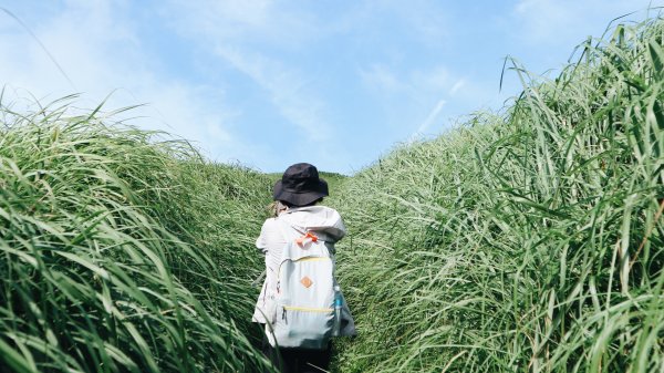 大屯山O型|一起來走陽明山縱走西段1005036