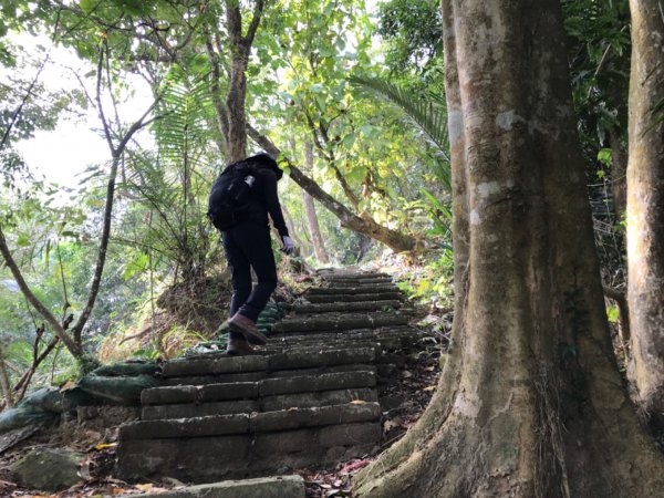 烏山步道走刣牛湖山468597