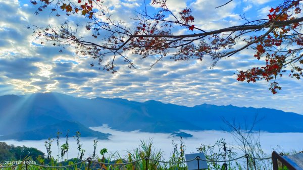 二訪馬拉邦山，解鎖 #琉璃光雲海 #日出雲海  #血月 #斜射光 #楓葉紅了！2668622