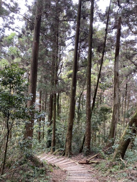大凍山3060405